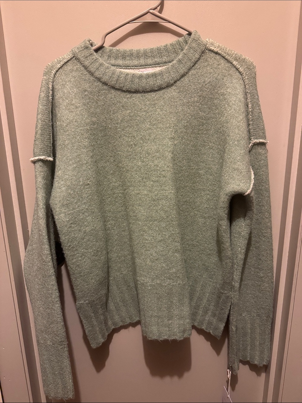 NWT- Haute Hippie Sage Green Crewneck Sweater